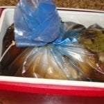 Turkey and brine in a Ziploc Big Bag XL inside a cooler