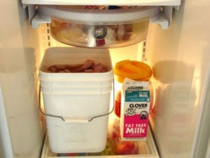 Bulk food bucket in refrigerator