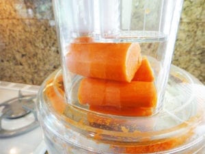 Close-up of carrots sideways in feed tube