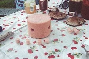 Prepping a wheel of bologna