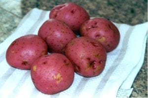 Six red potatoes