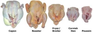 Types of chicken