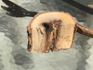 1 chunk of oak wood