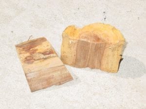 Two chunks of dry apple smoke wood