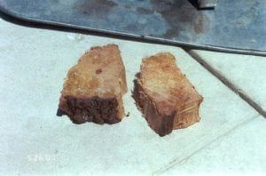 Two large chunks of apple wood