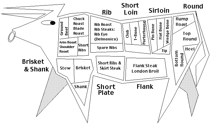 Beef Skeletal Chart