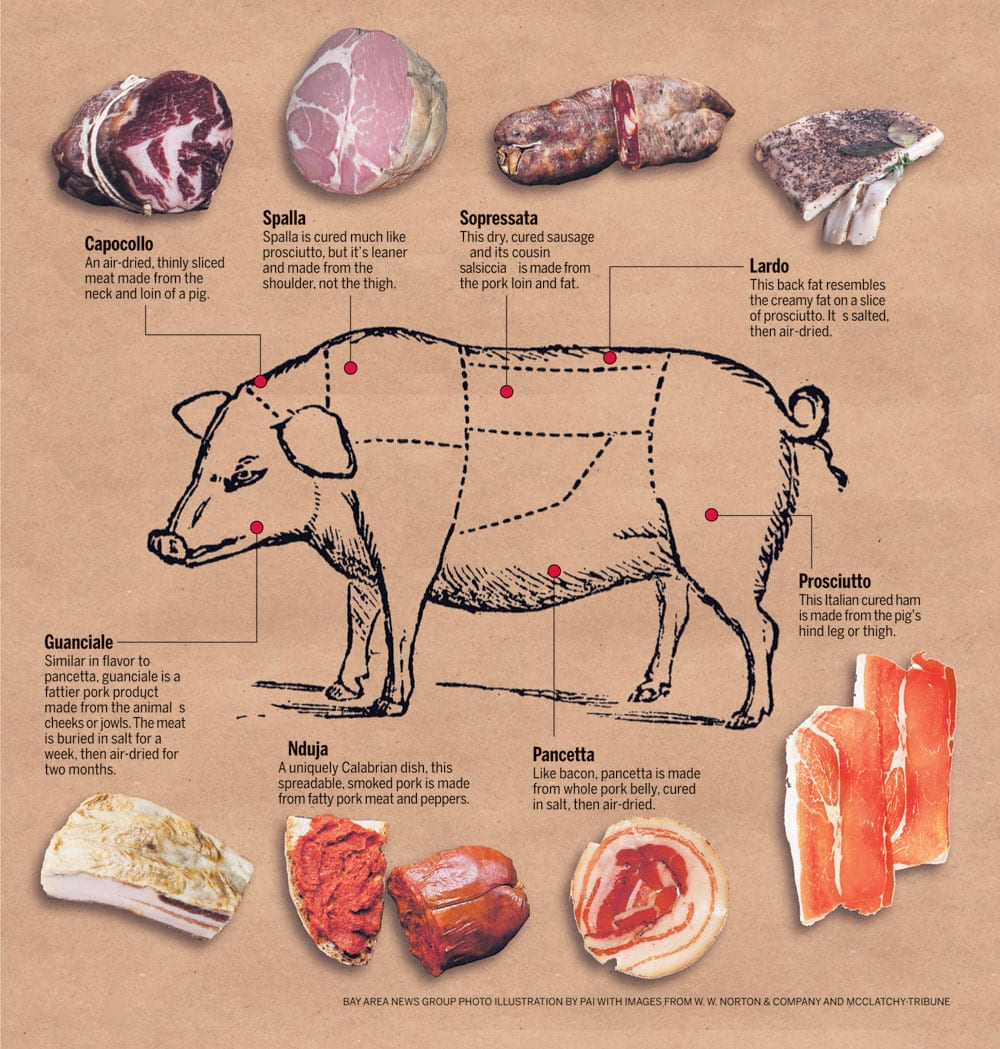 Pork Meat Chart Butcher