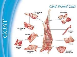 Veal Meat Chart