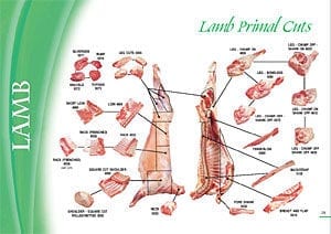 Pork Skeletal Chart