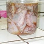 Octopus in marinade