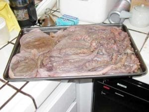 2 octopus ready for the smoker