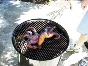 Smoked tako a la MattD