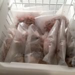 Freezing leftover pork butt in FoodSaver bags