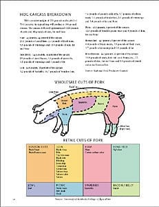 Hog Carcass Breakdown