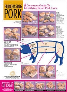 Pork Chart Cuts Of Meat