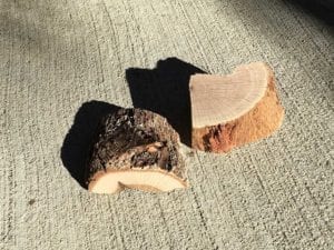 Two chunks of oak smoke wood