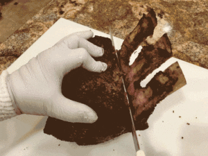 Slicing bones off the roast