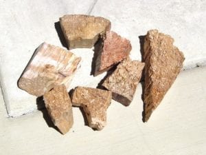 Alder smoke wood chunks