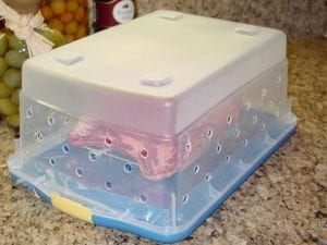 Prolifically perforated plastic bin