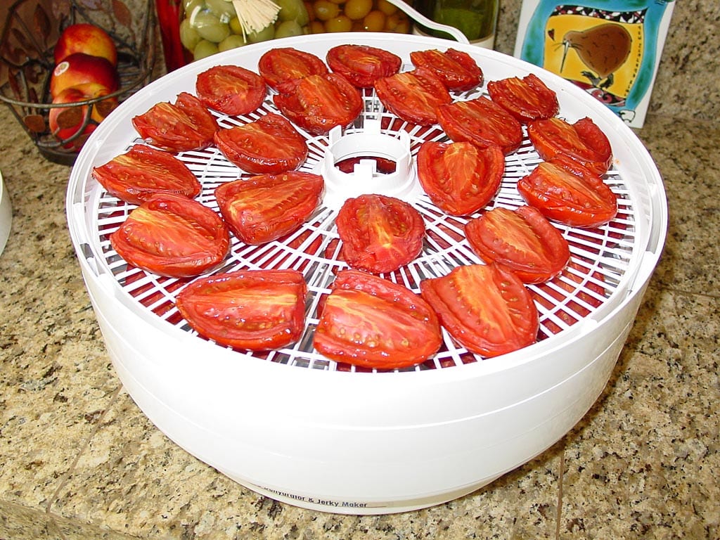 Using a food dehydrator to finish drying smoked tomatoes 
