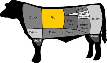 Diagram indicating primal rib section