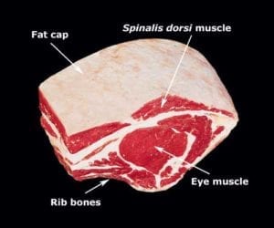 Annotated photo of beef rib roast large end, ribs 6-8
