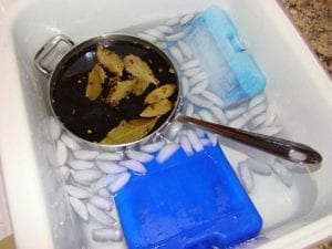 Force-cooling the brine concentrate in an ice bath