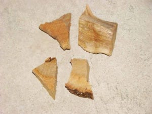 Two chunks apple wood, two chunks hickory wood