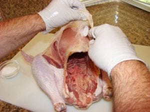 Salting the breast