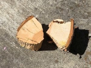 Two fist-sized chunks of dry apple smoke wood