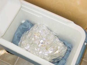 Foil-wrapped turkey in an empty cooler