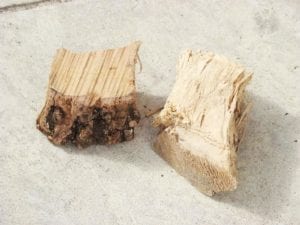 Two medium-sized chunks of dry cherry smoke wood