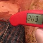 Thermapen shows internal meat temp of 203F