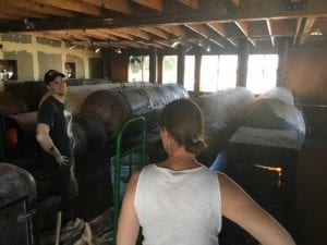 My wife Julie surveying the pit room