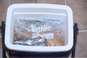 Chicken in a cooler