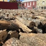 Close-up view of wood pile