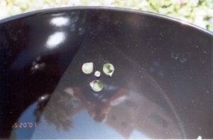 Charcoal Bowl - Interior View