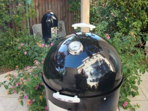 WSM top view