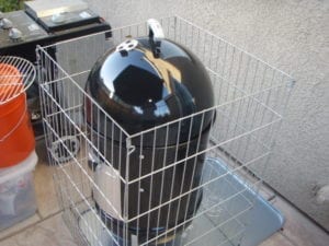 Four-sided dog enclosure