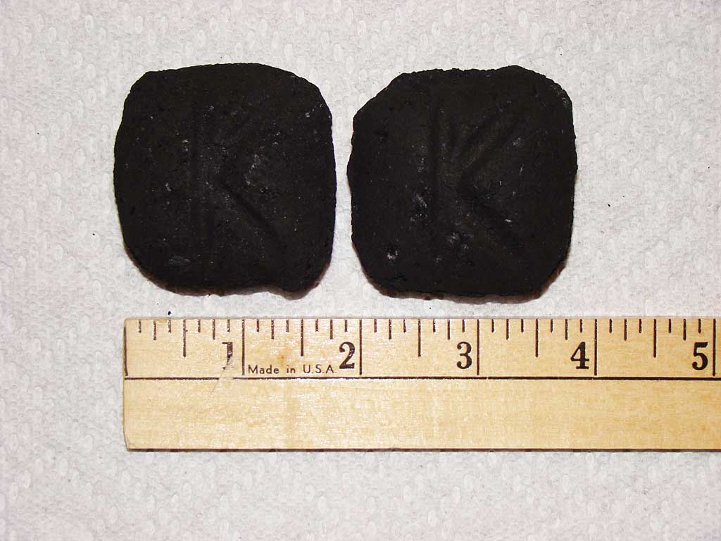 Front view of "blue bag" Kingsford (left) and new Competition Briquet (right)