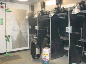 Firing up the WSM using the Minion Method and new Kingsford in the Weber burn room