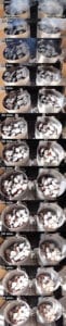 Side-by-side time-lapse photos comparing the burn of 2014 and 2015 briquets from 5 to 60 minutes