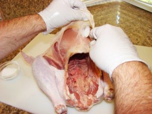 Applying kosher salt under turkey skin
