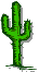 1999 TVWB Cactus Icon