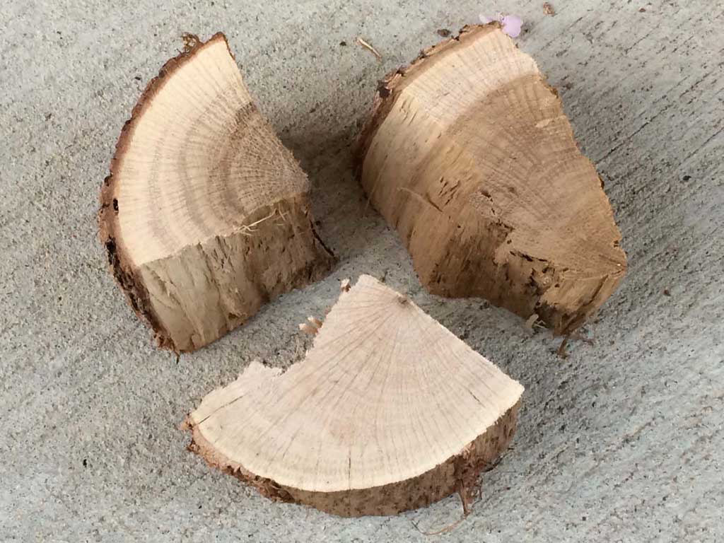 Three chunks of dry oak smoke wood