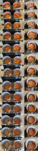 Time lapse Minute 60 to Minute 120